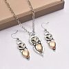 Owl Bohemia Style Alloy & Resin Pendant Necklaces & Dangle Earrings Sets FS-WGD384A-01-3