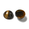 Natural Tiger Eye Cabochons G-Q173-01B-13-2