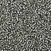TOHO Round Seed Beads SEED-JPTR11-0029F-2