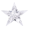 Transparent Acrylic Pendants TACR-T028-09A-1