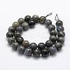 Natural Labradorite Beads Strands G-P322-31-12mm-2