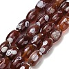 Natural Agate Beads Strands G-F811-B01-01-2