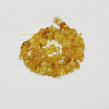 Natural Amber Chip Beads Strands G-E333-01A-2