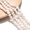 Natural Cultured Freshwater Pearl Beads Strands PEAR-N027-04B-1
