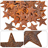 60Pcs 3 Styles Star Rust Iron Big Pendants IFIN-GF0001-13B-5