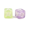 Transparent Acrylic Beads TACR-Q263-02A-01-3