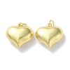 Rack Plating Brass Pendants KK-Z039-32B-G-1
