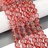 Frosted Transparent Glass Bead Strands GLAA-P065-10mm-06-1