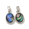 Rack Plating Brass Pave Natural Paua Shell Oval Charms KK-U025-07P-02-1