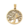 201 Stainless Steel Pendants STAS-R002-06G-1