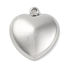 Anti-Tarnish 304 Stainless Steel Pendants STAS-D194-11S-1