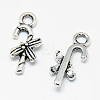 Tibetan Style Alloy Charms LS-X-TIBE-S301-028AS-NR-1
