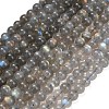 Natural Labradorite Beads Strands G-G448-7.5mm-04-2
