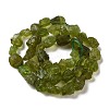 Raw Rough Natural Olive Quartz Beads Strands G-I283-G07-01-2