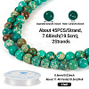 DIY Natural Regalite/Imperial Jasper/Sea Sediment Jasper Beads Bracelets  Making KIts DIY-TA0002-69C-4