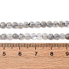 Natural Labradorite Beads Strands G-RM2025-A28-5