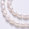Natural Cultured Freshwater Pearl Beads Strands X-PEAR-R064-20-4