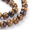 Natural Tiger Eye Beads Strands G-G099-10mm-4-3