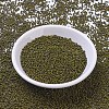 MIYUKI Round Rocailles Beads SEED-X0054-RR4519-2