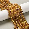 Natural Amber Beads Strands G-L095-L01-01-1