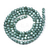 Natural Freshwater Shell Beads Strands X-BSHE-T009A-01J-2