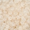 Transparent Colours Glass Seed Beads X1-SEED-P008-01B-06-2