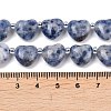 Natural Blue Spot Jasper Beads Strands G-NH0069-A08-5