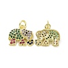 Brass Micro Pave Colorful Cubic Zirconia Charms KK-E068-VF108-1