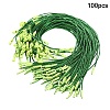 100Pcs Plastic Lanyard for Christmas Tree Decorations FIND-YW0007-81C-1