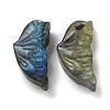 Natural Labradorite Carved Cabochons G-C152-03B-1
