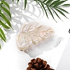 Cellulose Acetate Claw Hair Clips PW-WG2A592-02-1