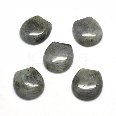 Natural Labradorite Cabochons G-O175-13I-1