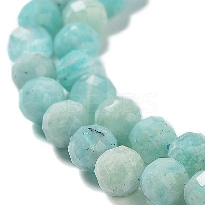 Natural Amazonite Beads Strands LS-G-J400-E11-04-1