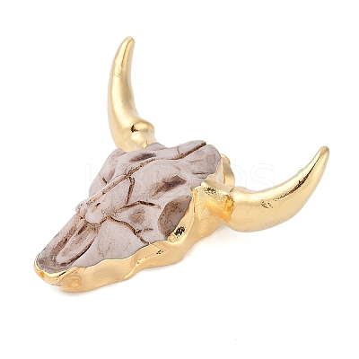 Resin Big Pendants RESI-E008-05G-01-1