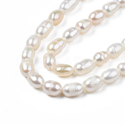 Natural Cultured Freshwater Pearl Beads Strands PEAR-N012-04B-1