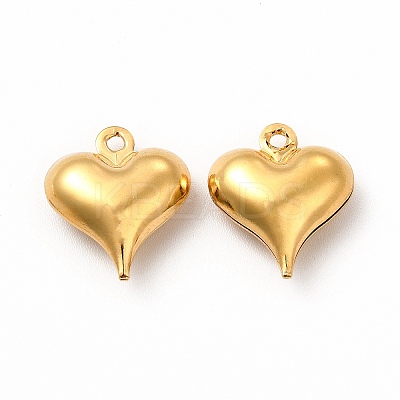 304 Stainless Steel Pendants STAS-F289-07G-1