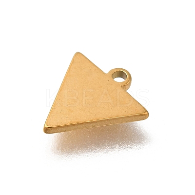 304 Stainless Steel Charms STAS-S144-01G-D-1