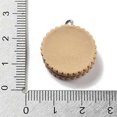 Cookies Theme Imitation Food Resin Pendants LS-RESI-B021-02B-03-1