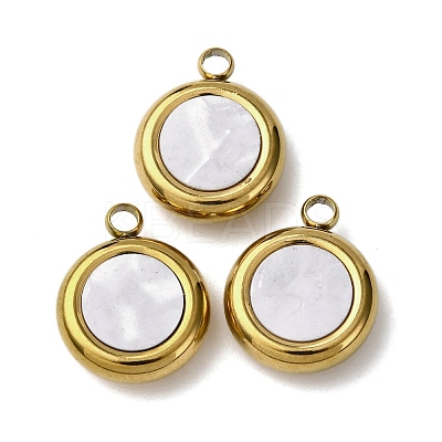 304 Stainless Steel Resin Pendants STAS-P406-15C-G-1