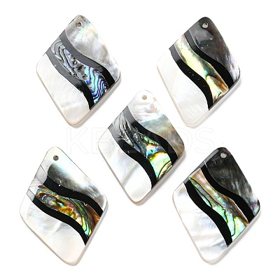 Natural Freshwater Shell & Black Lip Shell & Paua Shell & Natural White Shell Pendants BSHE-G034-06-1