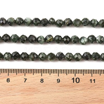 Natural Seraphinite Beads Strands G-K376-A02-5mm-1