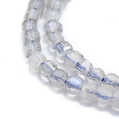 Natural Labradorite Beads Strands G-P457-B01-19-1