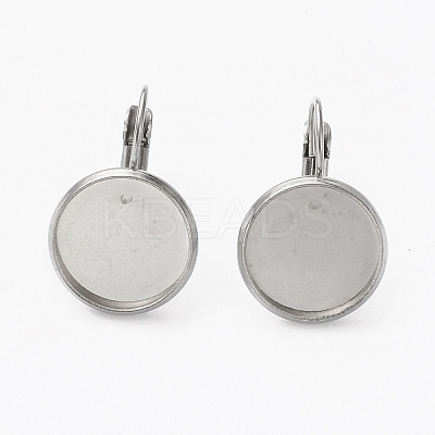 Tarnish Resistant 304 Stainless Steel Leverback Earring Findings LS-STAS-L253-005C-P-1