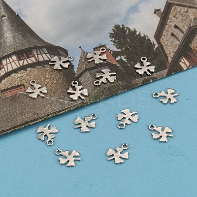 Tarnish Resistant 304 Stainless Steel Charms LS-STAS-J014-12-1