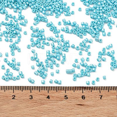 Baking Paint Glass Seed Beads X-SEED-S042-15B-34-1