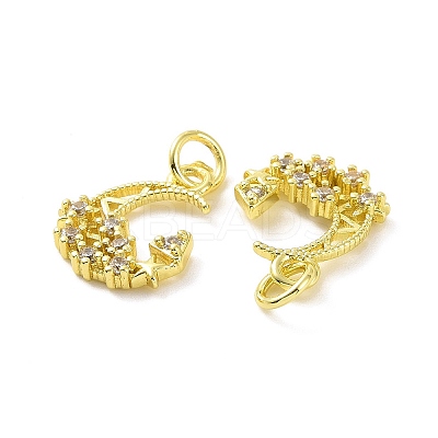 Brass Micro Pave Clear Cubic Zirconia Charms KK-E068-VF048-1