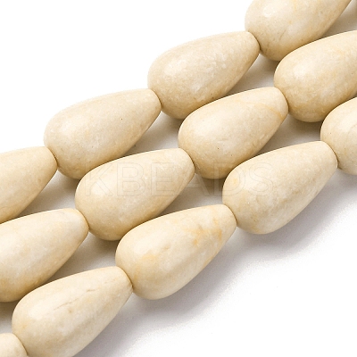 Natural Fossil Beads Strands G-F808-D01-02-1