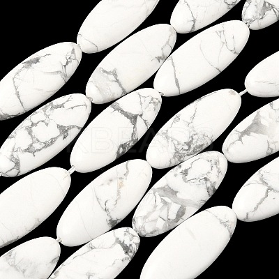 Natural Howlite Beads Strands G-B078-E17-01-1