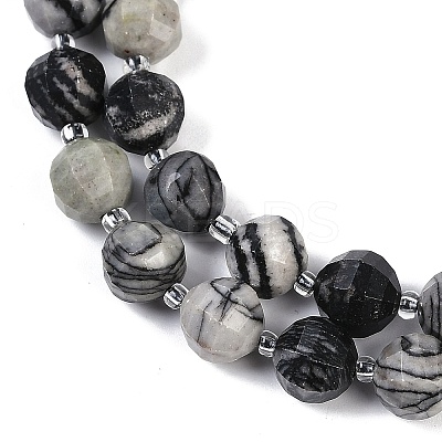 Natural Black Netstone Beads Strands G-G182-B08-05-1