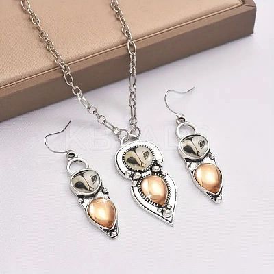 Owl Bohemia Style Alloy & Resin Pendant Necklaces & Dangle Earrings Sets FS-WGD384A-01-1
